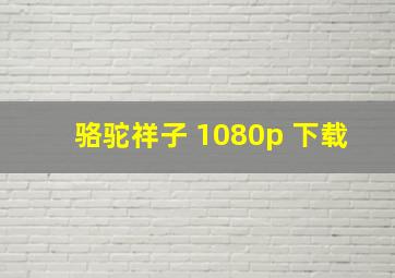 骆驼祥子 1080p 下载